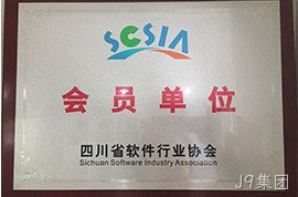 四川省软件行业协会会员单位